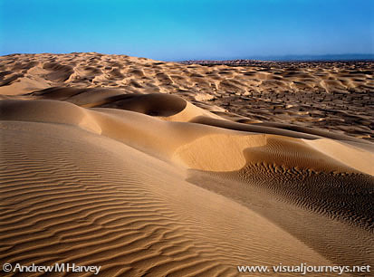 Inside the Central Vehicle Closure: Looking East from the high dunes.